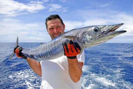 wahoo fishing things to prepare