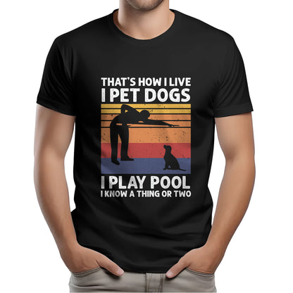 Funny Retro Billiards T-Shirt I Play Pool I Know A Thing Or Two, Gift For Pool Player TDM3941