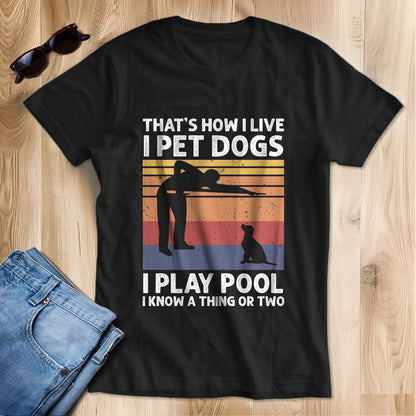 Funny Retro Billiards T-Shirt I Play Pool I Know A Thing Or Two, Gift For Pool Player TDM3941