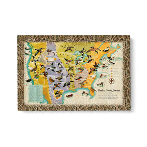 Ducks goose swans fly US map Matte Canvas (1.25")