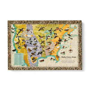 Ducks goose swans fly US map Matte Canvas (1.25")