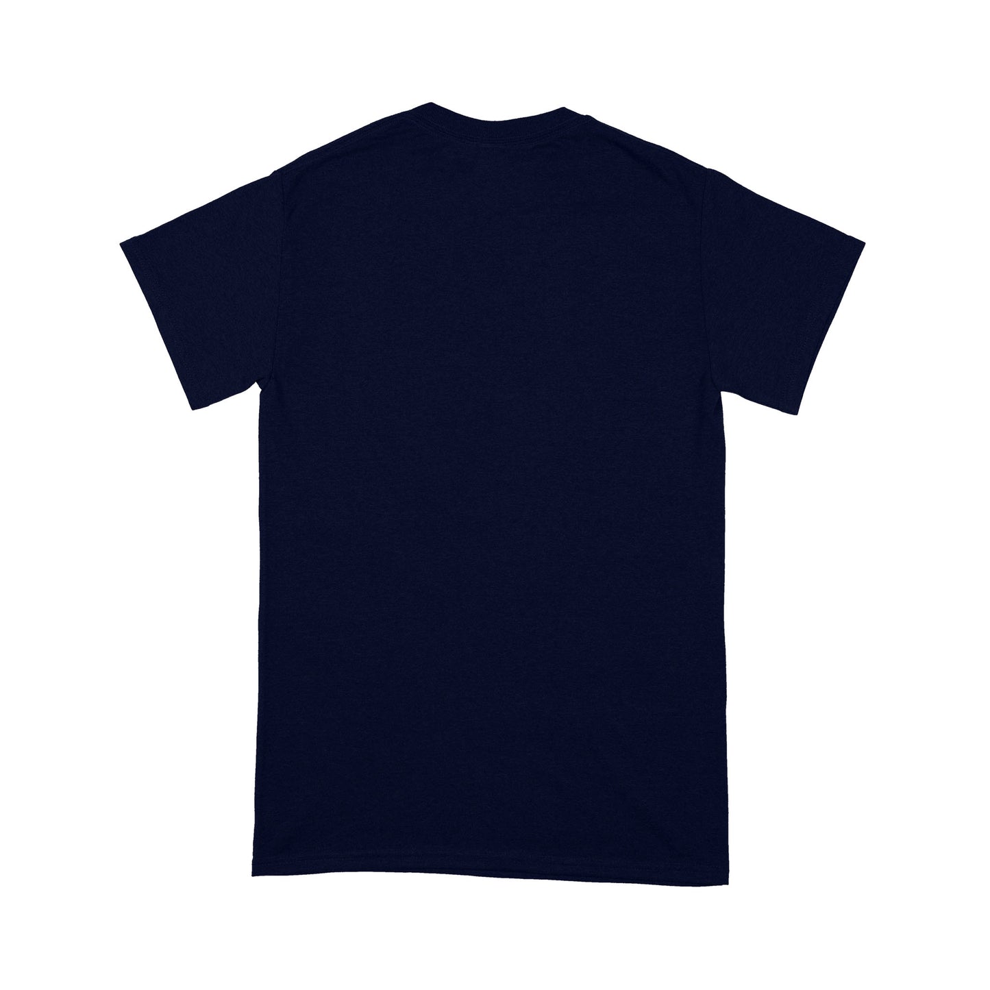 This is what an Awesome Grandpa Looks Like, Grandfather Gift, gift for grandpa D06 NQS1334 - Standard T-shirt
