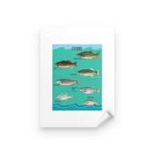 Load image into Gallery viewer, Bass fishing bass fish family Peel &amp; Stick Poster