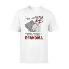 Load image into Gallery viewer, Love grandma, grandmother &#39;s shirt, gift  for grandma NQS779 D03 - Standard T-shirt