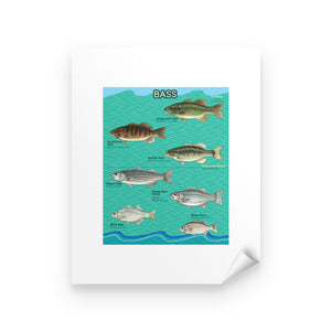 Bass fishing bass fish family Peel & Stick Poster