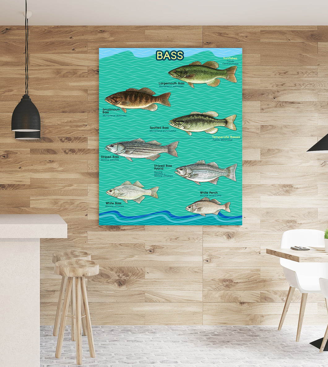 Bass fishing bass fish family Peel & Stick Poster