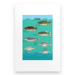 Bass fishing family poster