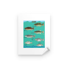 Load image into Gallery viewer, Bass fishing bass fish family Peel &amp; Stick Poster